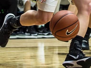 lebron ankle brace