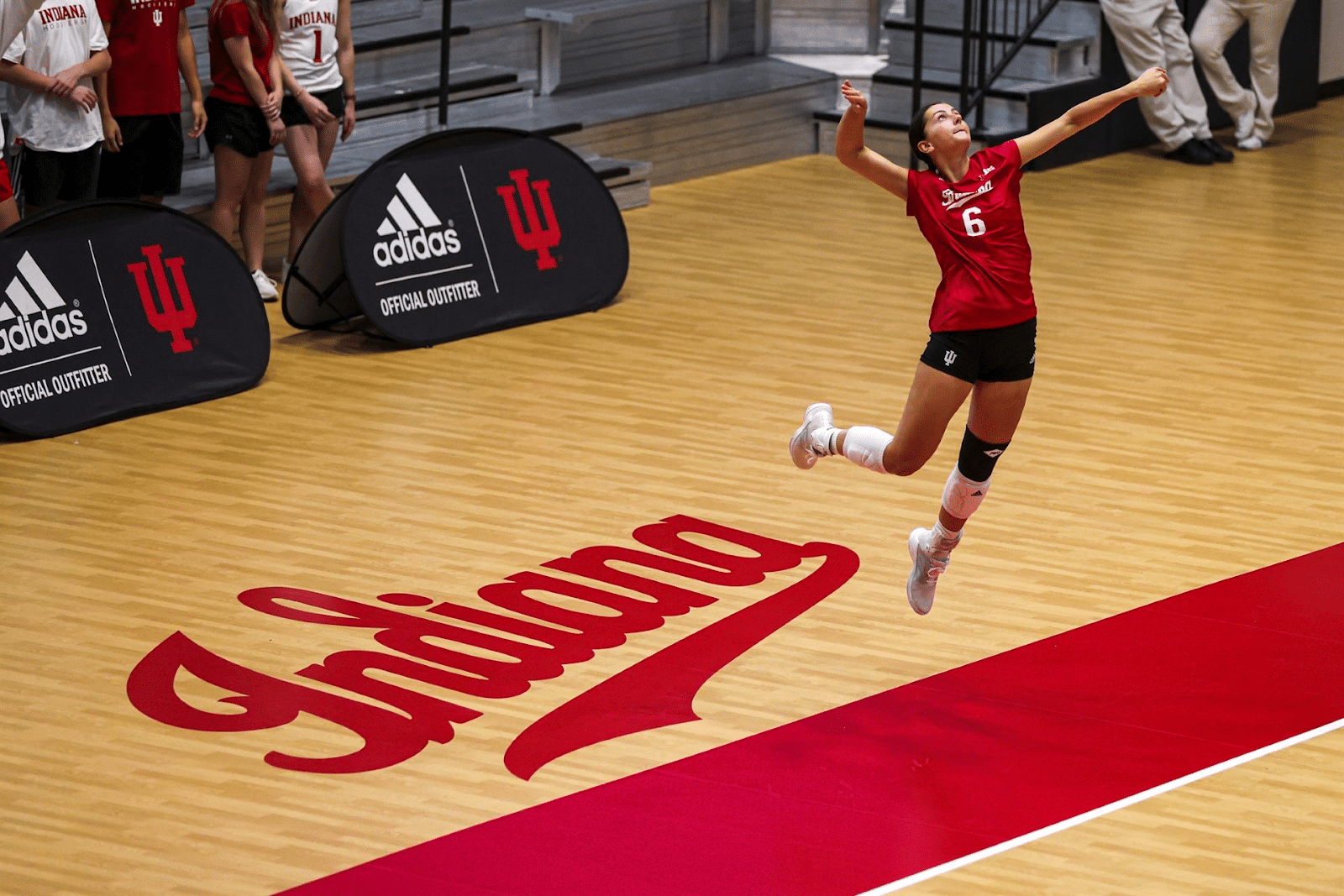 Kenzie Daffinee Indiana Volleyball & Ultra Ankle Ultra Athlete