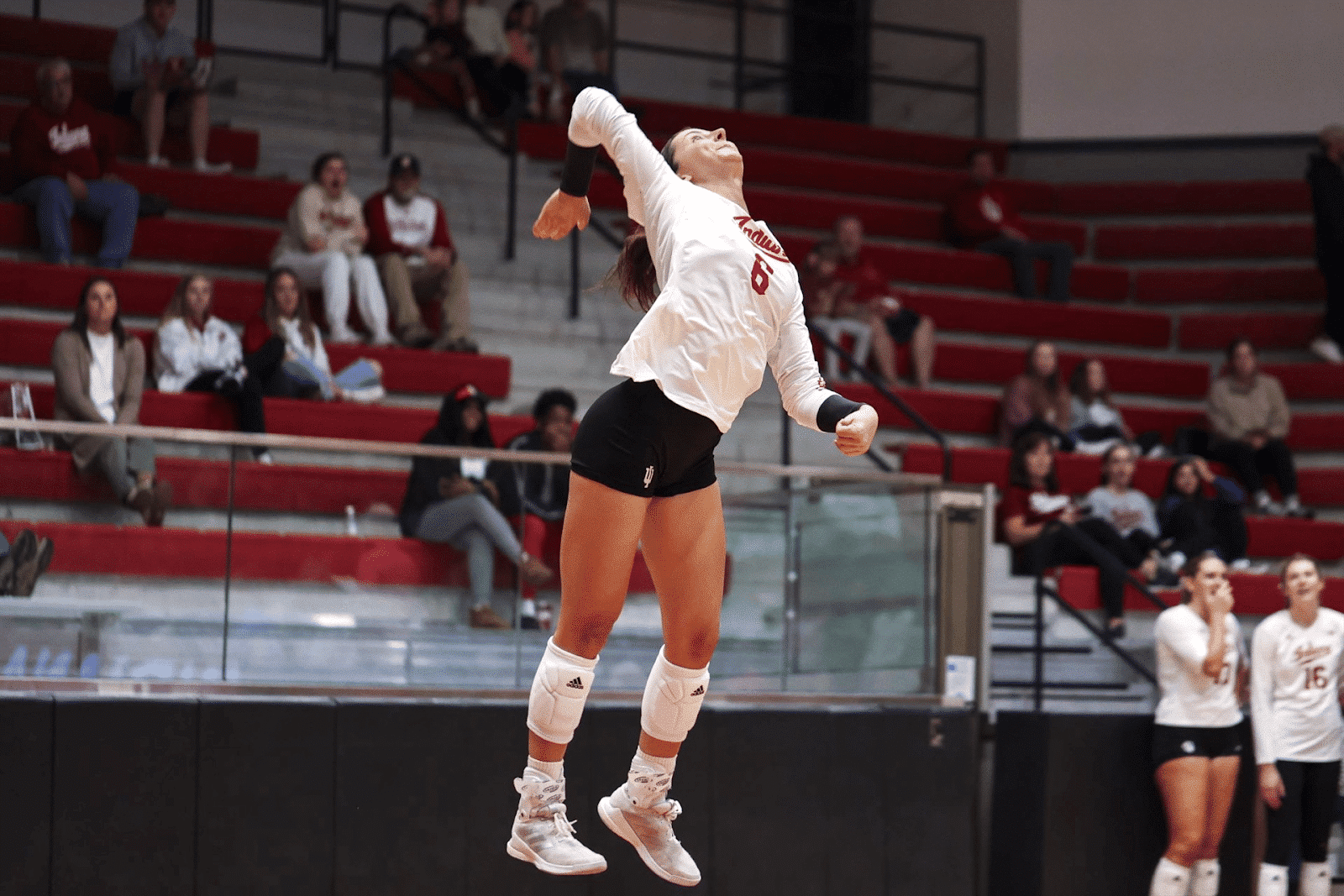 Kenzie Daffinee Indiana Volleyball & Ultra Ankle Ultra Athlete