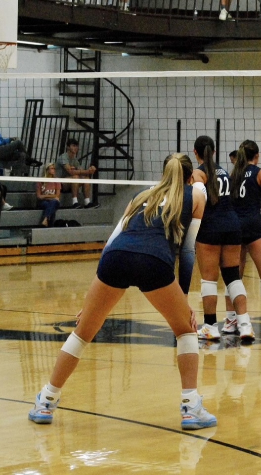 taylor wathen-volleyball ankle brace-ultra ankle-ultra zoom